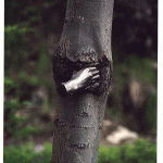 Giuseppe Penone, Main