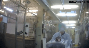 Laboratorio, vivisezione Germania (screen shot video youtube)