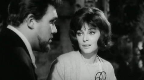 Virna Lisi in "Signore e signori" (foto pubblico dominio)