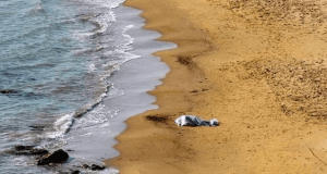 Cadavere in Spiaggia (foto generica)
