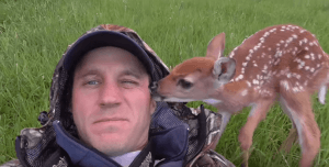 Salva un cerbiatto e lo riporta alla mamma, bambi lo ringrazia - VIDEO