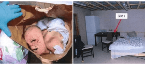 Le foto del bunker (foto dal web)
