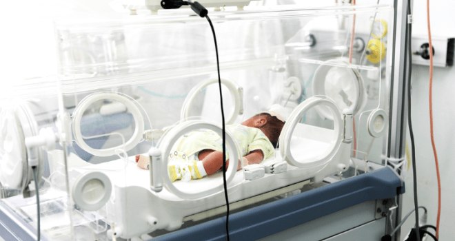 Neonato