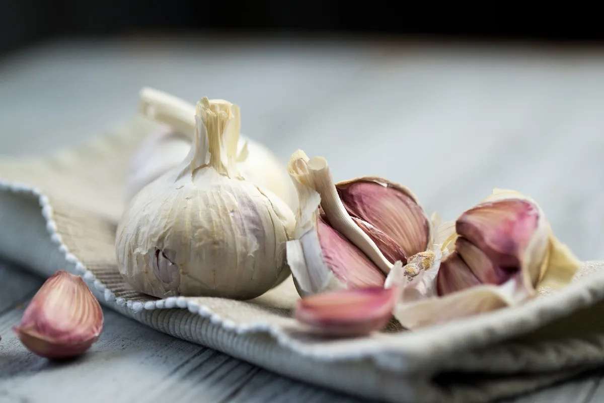 Aglio-fresco(Fonte Web)