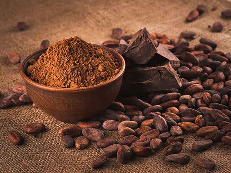 Fave di cacao(Fonte Web)