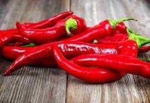 Peperoncino(Fonte Web)