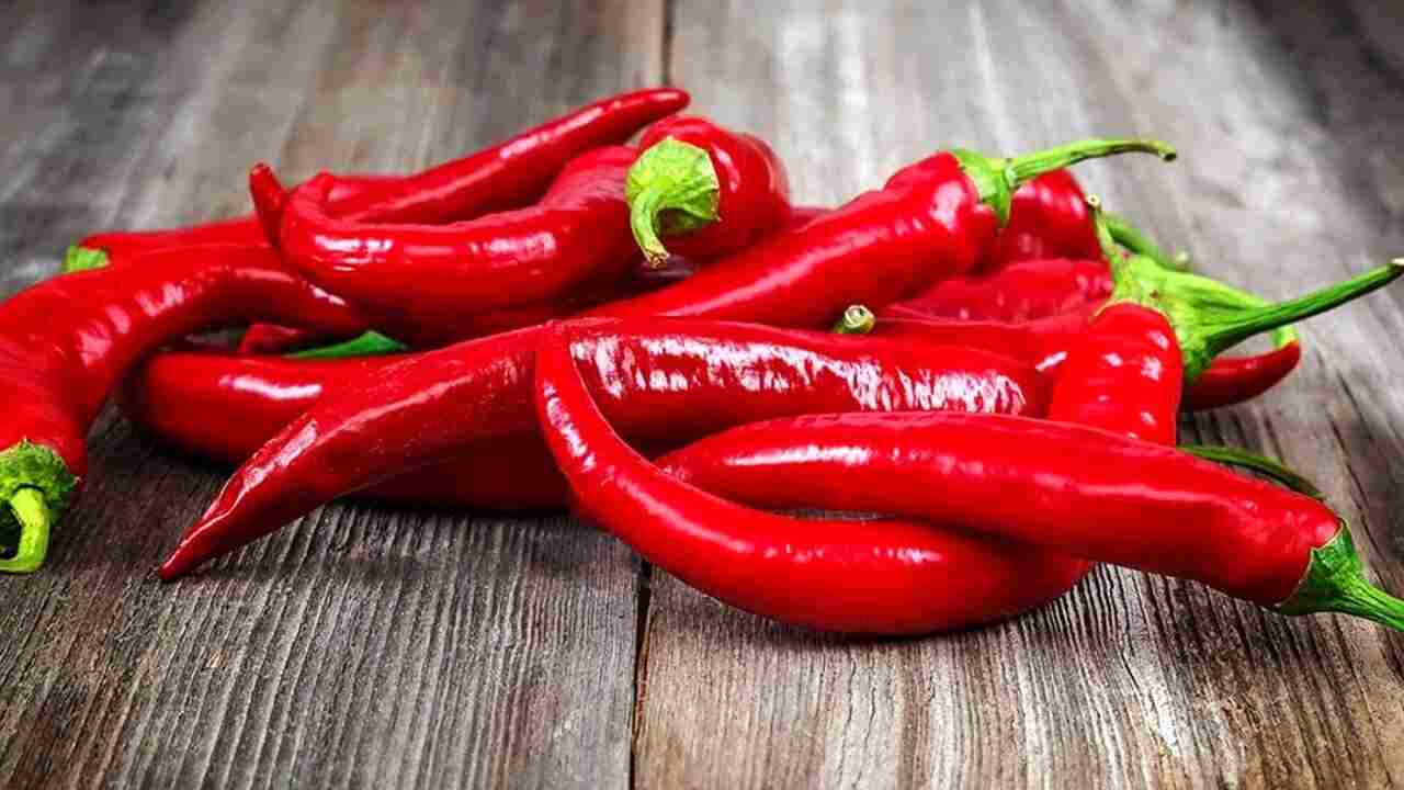 Peperoncino(Fonte Web)