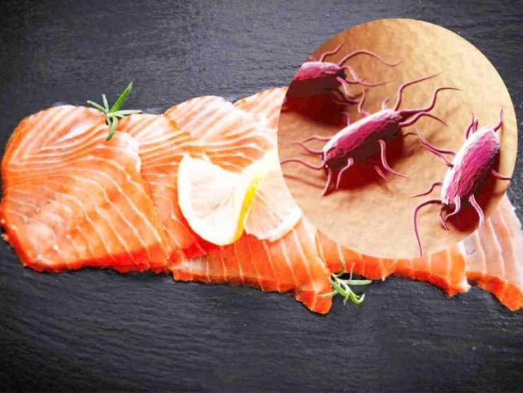 Salmone affumicato con Listeria(Fonte Web)