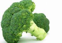 broccoli-fonte web