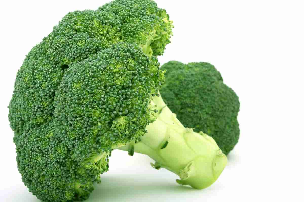 broccoli-fonte web