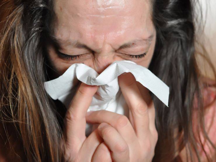 influenza-fonte web