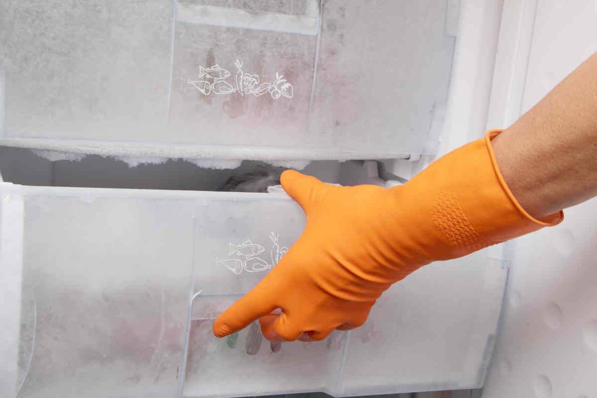 Sbrinare il freezer (Fonte Web)