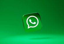 whatsapp logo-fonte web