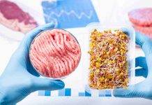 Alternativa alla carne(Fonte Web)