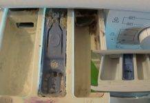Vaschette lavatrice con residui(Fonte web)