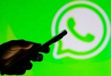 whatsapp-fonte web